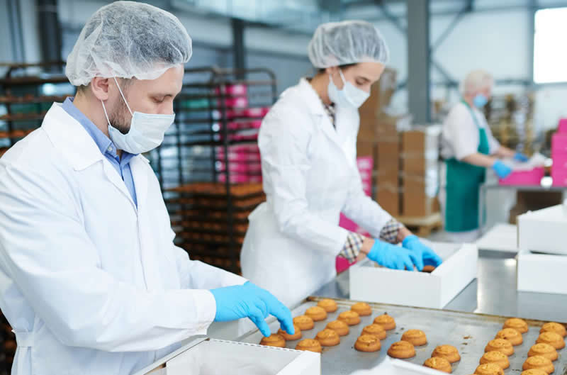 employees at bakery placing muffins into boxes