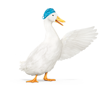 Aflac duck pointing right