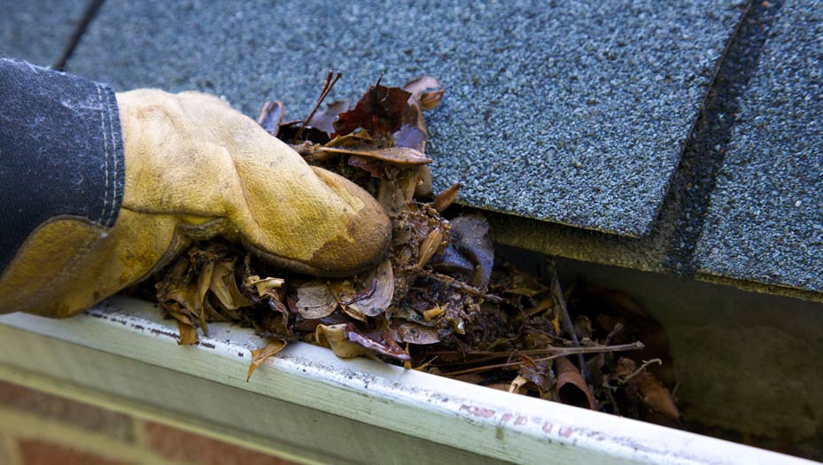 Accidents can happen all around the home, like when you are cleaning your gutters.