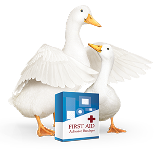 Aflac duck with first-aid bandage