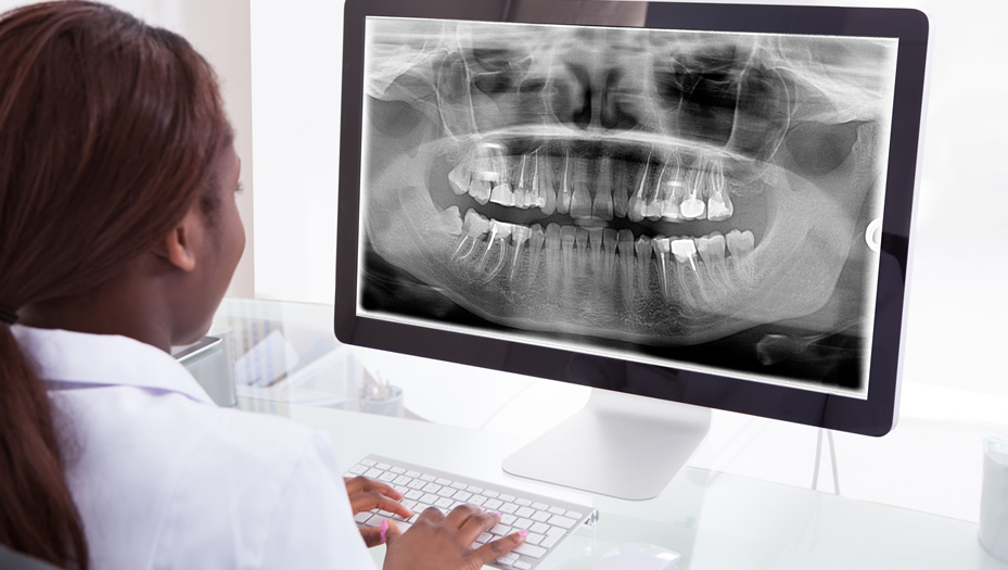 dentist examining oral x-rays