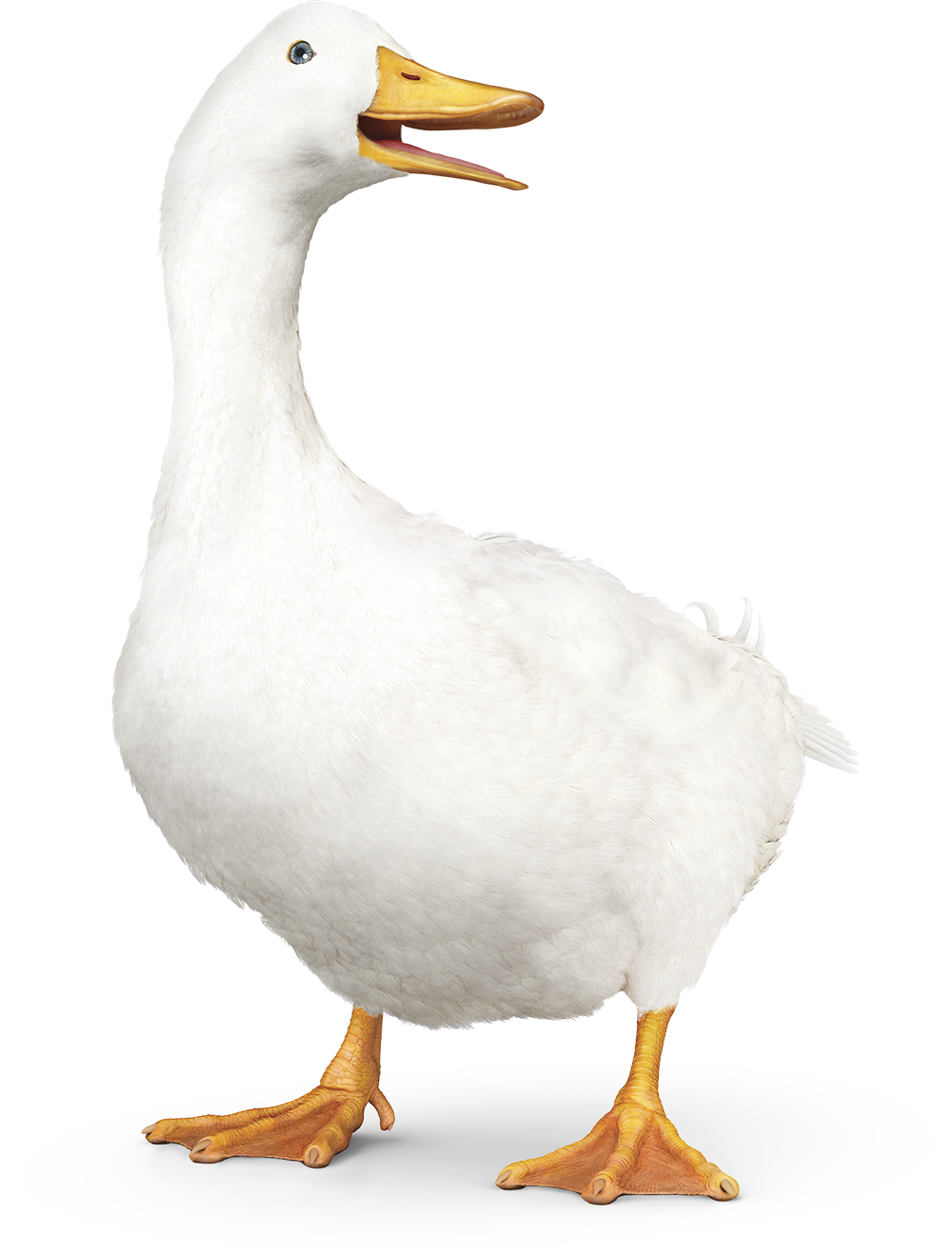Aflac America’s Most Recognized Supplemental Insurance Company