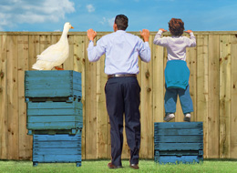 duck man and child looking over fence