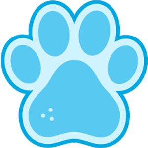 pet insurance icon