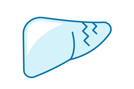 liver icon