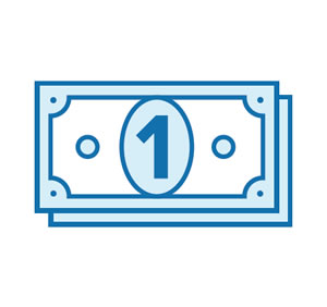 dollar icon