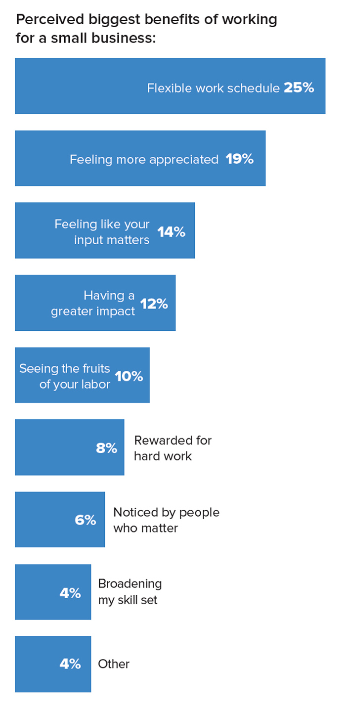 Chart data: Perceived biggest benefits of working for a small business: 25% Flexible work schedule; 19% Feeling more appreciated; 14% Feeling like your input matters; 12% Having a greater impact; 10% Seeing the fruits of your labor; 8% Rewarded for hard work; 6% Noticed by people who matter; 4% Broadening my skillset; 4% Other.