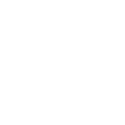 flower icon