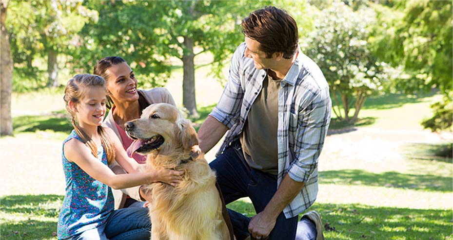 Family on lawn with dog.