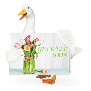 Aflac duck with get well soon card