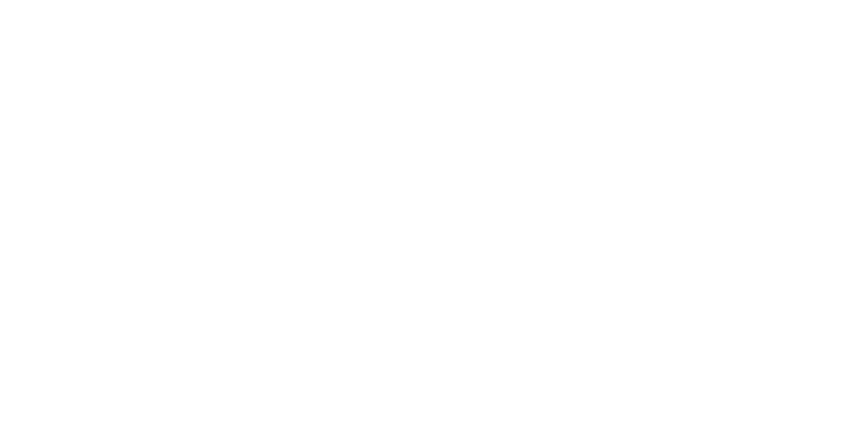 lightbulb icon