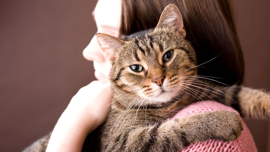 woman holding cat