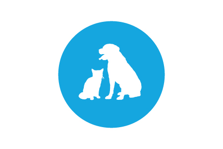 cat and dog icon