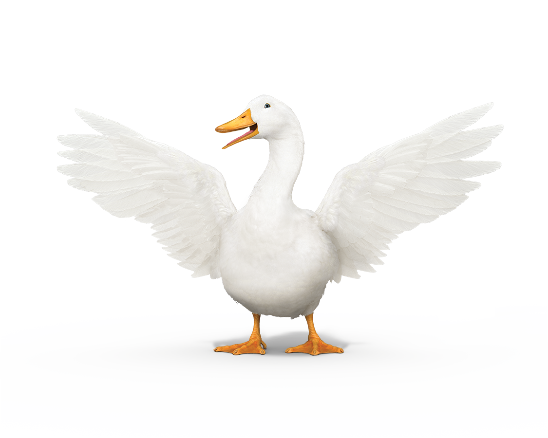 Aflac duck with wings spread