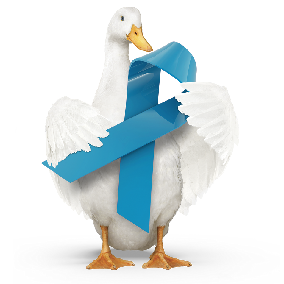 Aflac duck holding a cancer ribbon