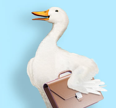 Aflac Duck, holding a briefcase