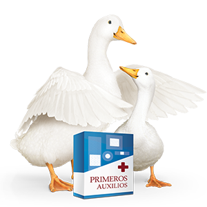 Aflac duck with first-aid bandage