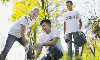 Plant a tree to help improve the environment