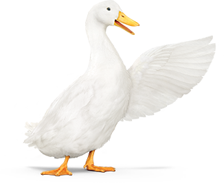 Aflac duck pointing right